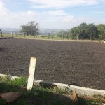 Fazenda Plantação