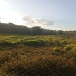 st11