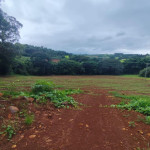 sio3
