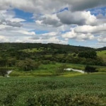 WhatsApp Image 2026-04-18 at 11.36.54 (1)