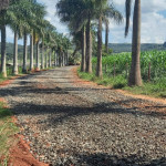 WhatsApp Image 2026-04-18 at 11.36.54