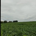 WhatsApp Image 2026-04-18 at 11.36.54 (2)